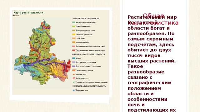 Общая характеристика Растительный мир Ростовской области богат и разнообразен. По самым скромным подсчетам, здесь обитает до двух тысяч видов высших растений. Такое разнообразие связано с географическим положением области и особенностями почв и подстилающих их пород