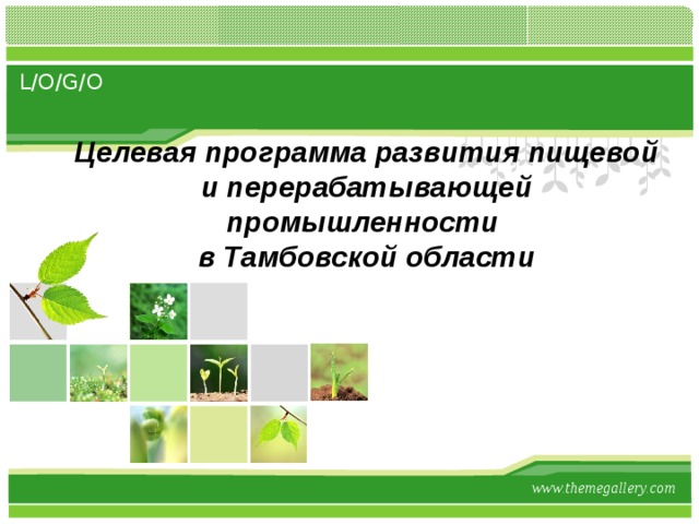Целевая программа развития пищевой и перерабатывающей промышленности  в Тамбовской области www.themegallery.com