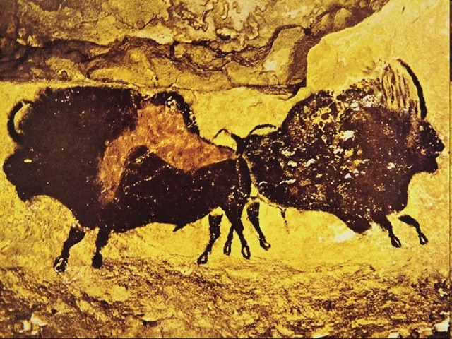 Но поверить пришлось: вслед за Альтамирой начались исследования  других пещер, во многих  были найдены произведения  первобытного искусства. Древнейшим художникам удавалось передать облик и характер тех  зверей, на которых они охотились