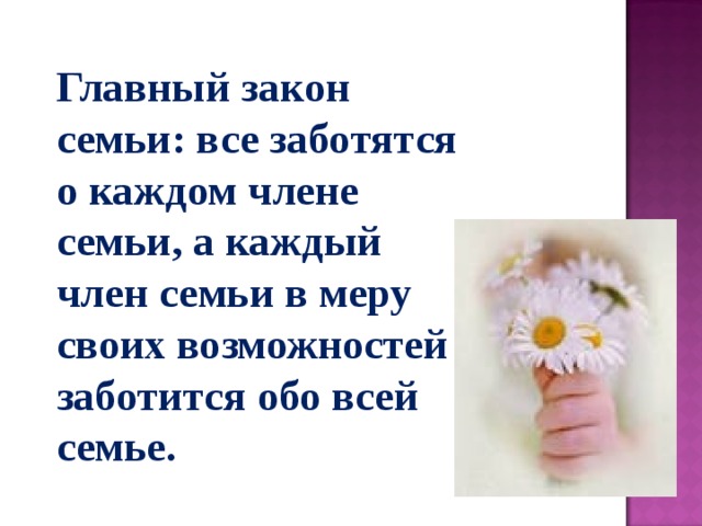 Главный закон семьи: все заботятся о каждом члене семьи, а каждый член семьи в меру своих возможностей заботится обо всей семье.