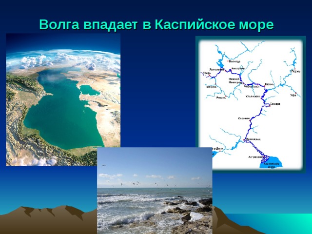 Волга впадает в Каспийское море