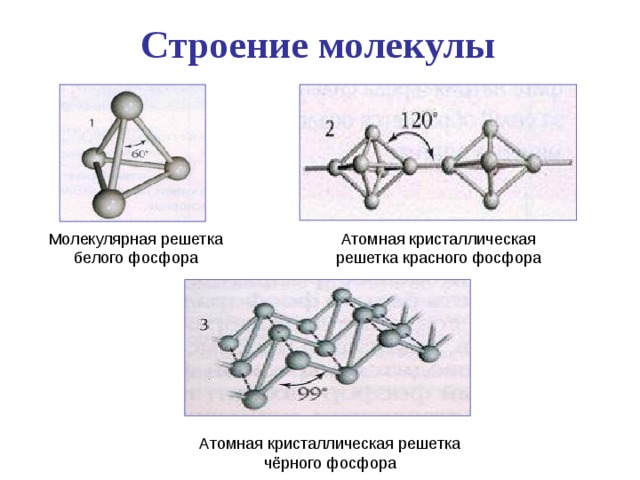 Строение молекулы Молекулярная решетка белого фосфора Атомная кристаллическая решетка красного фосфора Атомная кристаллическая решетка чёрного фосфора