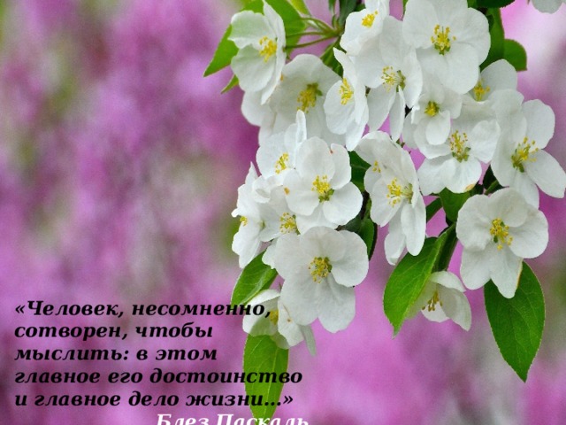 «Человек, несомненно, сотворен, чтобы мыслить: в этом главное его достоинство и главное дело жизни…» Блез Паскаль