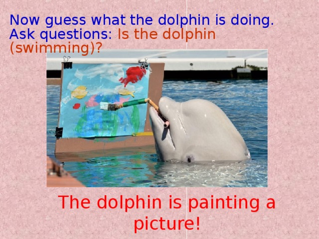 Now guess what the dolphin is doing.  Ask questions:  Is the dolphin (swimming)? The dolphin is painting a picture!