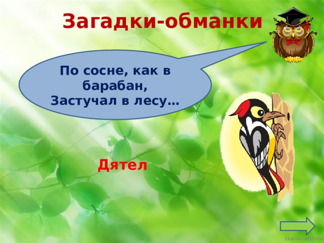 Загадки-обманки По сосне, как в барабан, Застучал в лесу… Дятел