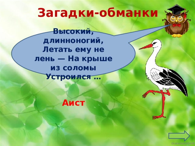 Загадки-обманки Высокий, длинноногий, Летать ему не лень — На крыше из соломы Устроился … Аист