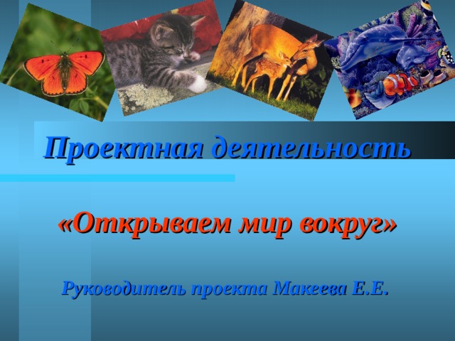 Проектная деятельность   «Открываем мир вокруг»   Руководитель проекта Макеева Е.Е.