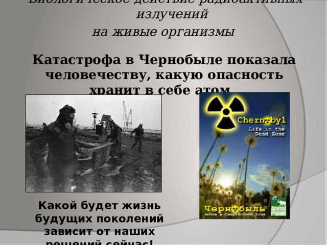 Биологическое действие радиоактивных излучений на живые организмы Катастрофа в Чернобыле показала человечеству, какую опасность хранит в себе атом. Какой будет жизнь будущих поколений зависит от наших решений сейчас!