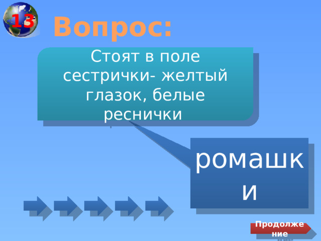 13 Вопрос: Стоят в поле сестрички- желтый глазок, белые реснички ромашки Продолжение