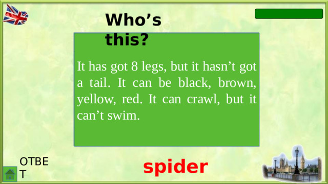 Who’s this? It has It has got 8 legs, but it hasn’t got a tail. It can be black, brown, yellow, red. It can crawl, but it can’t swim. ОТВЕТ spider