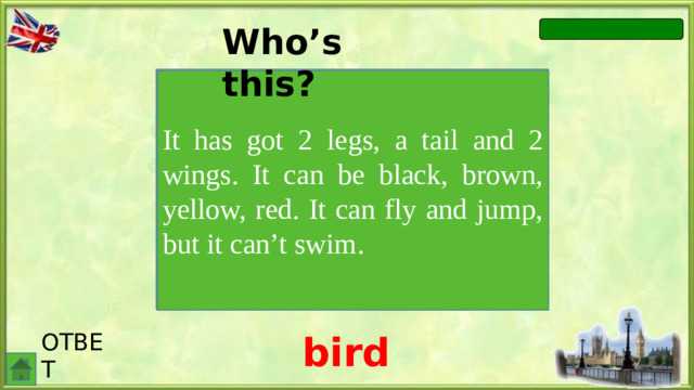 Who’s this? It has got 2 legs, a tail and 2 wings. It can be black, brown, yellow, red. It can fly and jump, but it can’t swim. ОТВЕТ bird