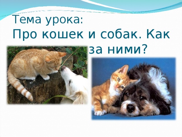 Тема урока:  Про кошек и собак. Как ухаживать за ними?