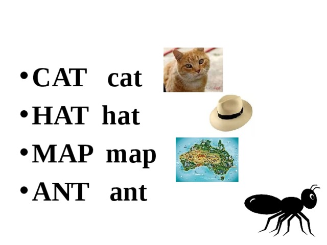 CAT cat HAT hat MAP map ANT ant