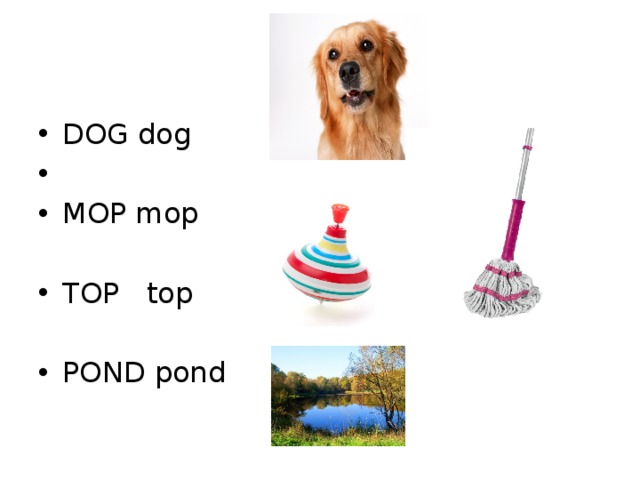 DOG dog MOP mop TOP top POND pond