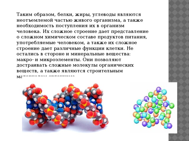 Молекулы белков отличаются