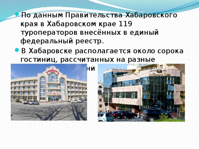 По данным Правительства Хабаровского края в Хабаровском крае 119 туроператоров внесённых в единый федеральный реестр. В Хабаровске располагается около сорока гостиниц, рассчитанных на разные социальные уровни населения.
