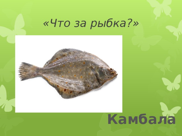 «Что за рыбка?» Камбала