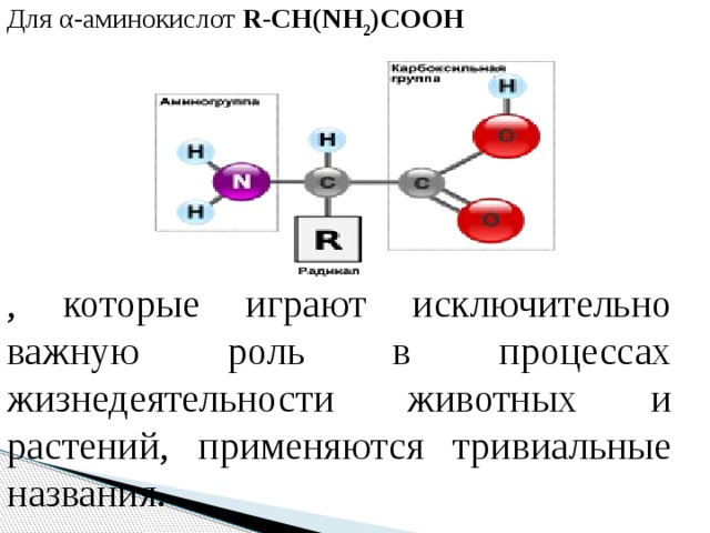 Для α-аминокислот R-CH(NH 2 )COOH , которые играют исключительно важную роль в процессах жизнедеятельности животных и растений, применяются тривиальные названия.
