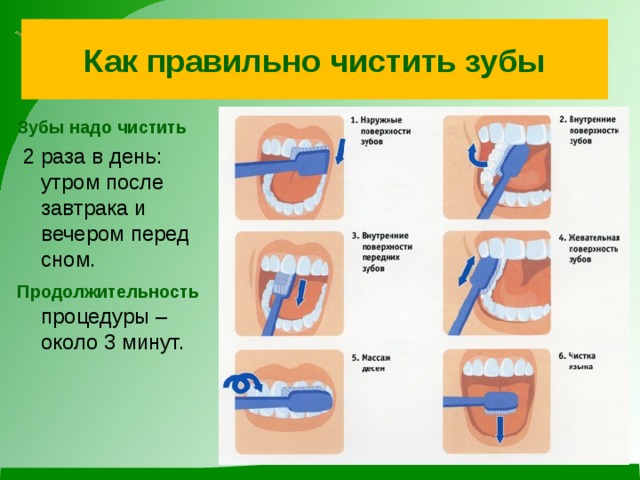 Как правильно чистить зубы Зубы надо чистить  2 раза в день: утром после завтрака и вечером перед сном. Продолжительность процедуры – около 3 минут.