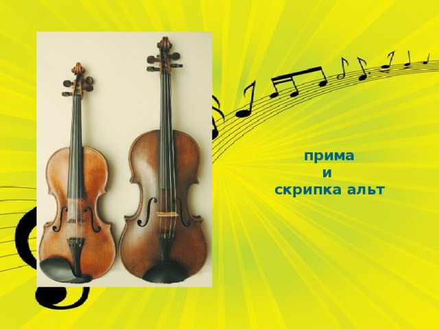 прима  и  скрипка альт