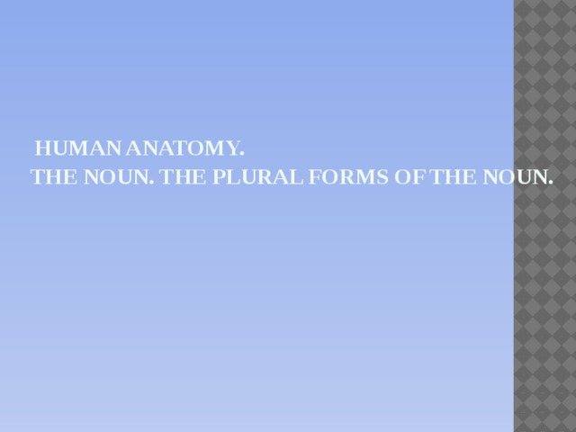 Human anatomy.  The noun. The plural forms of the noun.
