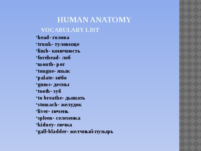 Human anatomy   Vocabulary list