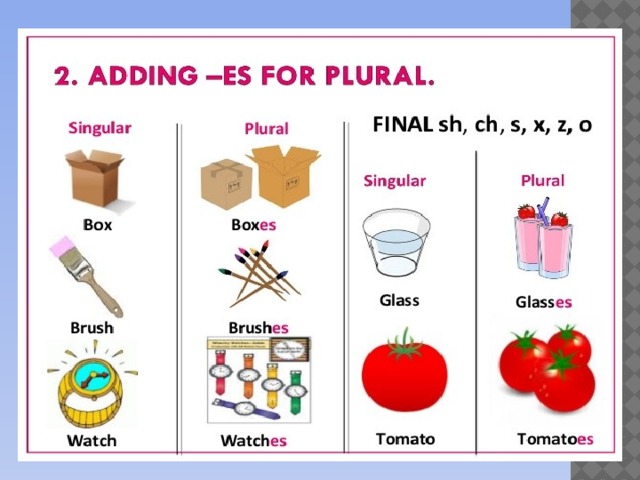 Nouns pictures. Noun singular 's and plural s' правило. Plural forms of Nouns. Plural Nouns правило. Plurals правило.