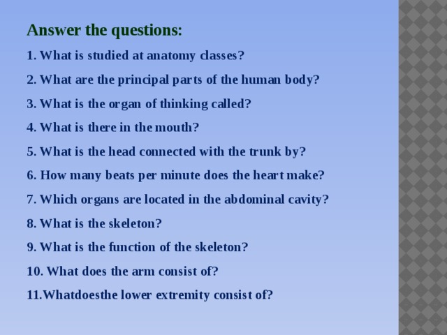 Answer the questions: 1. What is studied at anatomy classes? 2. What are the principal parts of the human body? 3. What is the organ of thinking called? 4. What is there in the mouth? 5. What is the head connected with the trunk by? 6. How many beats per minute does the heart make? 7. Which organs are located in the abdominal cavity? 8. What is the skeleton? 9. What is the function of the skeleton? 10. What does the arm consist of? 11.Whatdoesthe lower extremity consist of?