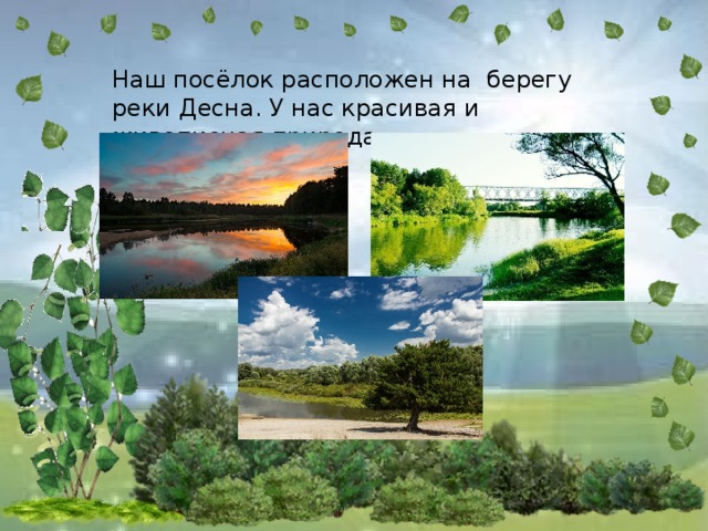 Наш посёлок расположен на берегу реки Десна. У нас красивая и живописная природа.