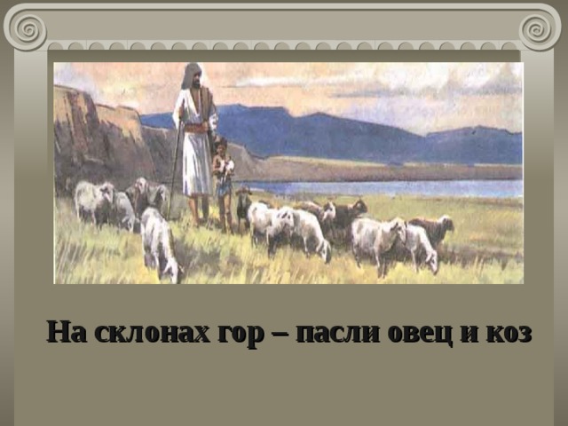 На склонах гор – пасли овец и коз