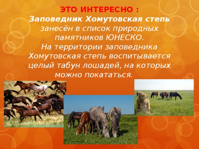 ЭТО ИНТЕРЕСНО :  Заповедник Хомутовская степь занесён в список природных памятников ЮНЕСКО.  На территории заповедника Хомутовская степь воспитывается целый табун лошадей, на которых можно покататься.