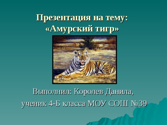 Презентация на тему: «Амурский тигр» Выполнил: Королев Данила, ученик 4-Б класса МОУ СОШ №39