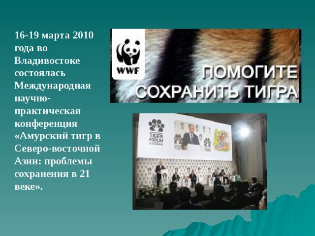 16-19 марта 2010 года во Владивостоке состоялась Международная научно-практическая конференция «Амурский тигр в Северо-восточной Азии: проблемы сохранения в 21 веке».