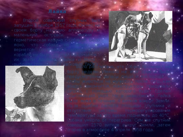 Лайка Второй советский спутник был запущен 3 ноября 1957 года. Он нес на своем борту научную аппаратуру и маленький островок жизни - герметическая кабина с собакой. Было ясно, что собака на Землю не вернется: спускаемого аппарата на корабле не было. Из трех кандидаток - их звали Альбина, Лайка и Муха - выбрали спокойную и ласковую ЛАЙКУ. Было рассчитано, что собака проживет на борту неделю. Именно на этот срок и были предусмотрены запасы пищи и кислорода. А чтобы животное не мучилось после того, как воздух закончится, конструкторы придумали шприц, с помощью которого будет сделан усыпляющий укол. Но в невесомости Лайка была жива в течение 4 витков вокруг Земли. Из-за ошибки расчёта площади спутника и отсутствия системы терморегулирования температура за это время поднялась до 40°C. Собака умерла от перегрева. Сам же спутник совершил 2570 витков вокруг Земли, затем сгорев в атмосфере 4 апреля 1958 года.