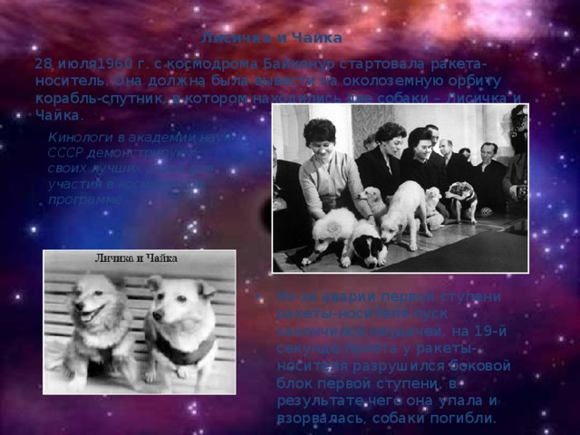 Лисичка и Чайка 28 июля1960 г. с космодрома Байконур стартовала ракета-носитель. Она должна была вывести на околоземную орбиту корабль-спутник, в котором находились две собаки – Лисичка и Чайка. Кинологи в академии наук СССР демонстрируют  своих лучших собак для участия в космической программе