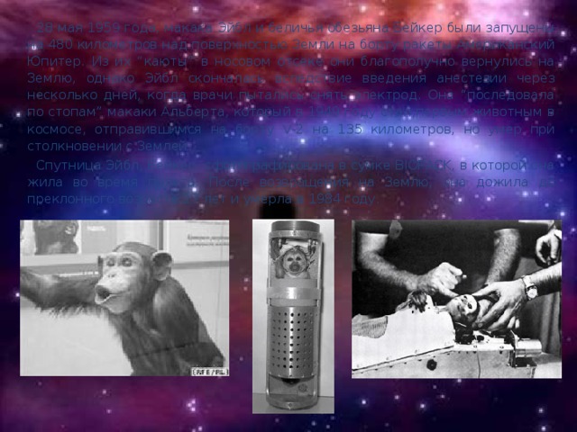 28 мая 1959 года, макака Эйбл и беличья обезьяна Бейкер были запущены на 480 километров над поверхностью Земли на борту ракеты Американский Юпитер. Из их “каюты” в носовом отсеке они благополучно вернулись на Землю, однако Эйбл скончалась вследствие введения анестезии через несколько дней, когда врачи пытались снять электрод. Она “последовала по стопам” макаки Альберта, который в 1949 году стал первым животным в космосе, отправившимся на борту V-2 на 135 километров, но умер при столкновении с Землей.  Спутница Эйбл, Бейкер, сфотографирована в сумке BIOPACK, в которой она жила во время полета. После возвращения на Землю, она дожила до преклонного возраста 27 лет и умерла в 1984 году.