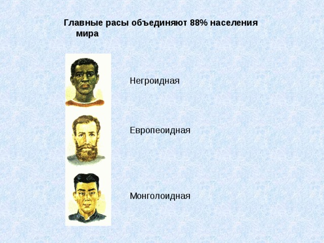Главные расы объединяют 88% населения мира Негроидная Европеоидная Монголоидная