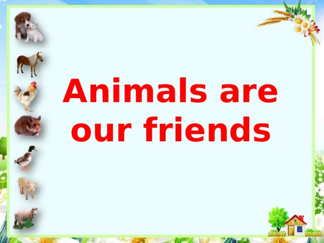 Animals are our friends
