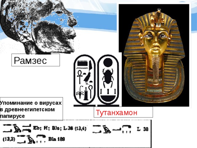 Рамзес Упоминание о вирусах в древнеегипетском папирусе Тутанхамон
