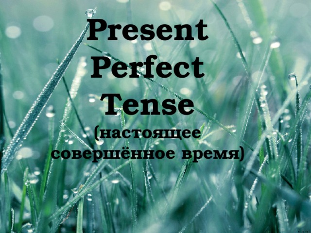 Present Perfect Tense  (настоящее совершённое время)