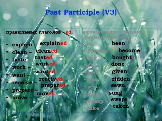 Past Participle (V3)   правильных глаголов - ed   неправильных глаголов – 3 форма в таблице explain – clean – taste – work – want – receive – prepare – move –  be -  become -  buy -  do -  give -  ride -  sew -  sing -  sweep -  take -   explain ed been become clean ed tast ed bought work ed done given want ed ridden receiv ed prepar ed sewn sung mov ed swept taken