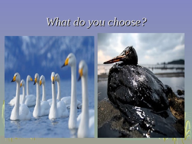 What do you choose?