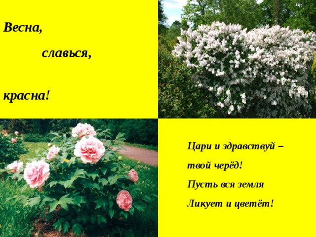 Весна,  славься,  красна! Цари и здравствуй – твой черёд! Пусть вся земля Ликует и цветёт!