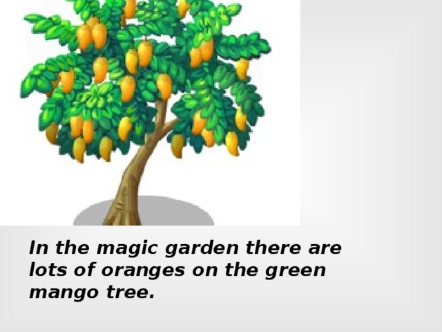 In the magic garden there are lots of oranges on the green mango tree.