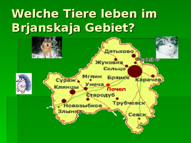 Welche Tiere leben im Brjanskaja Gebiet?