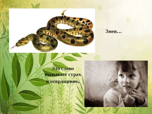 Змея…       Это слово  вызывает страх  и отвращение .
