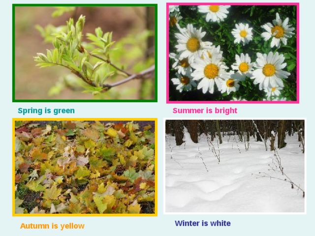 Spring is green  Summer is bright  Autumn is yellow  Winter is white