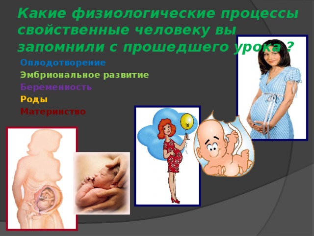 Какие физиологические процессы свойственные человеку вы запомнили с прошедшего урока ? Оплодотворение Эмбриональное развитие Беременность Роды Материнство
