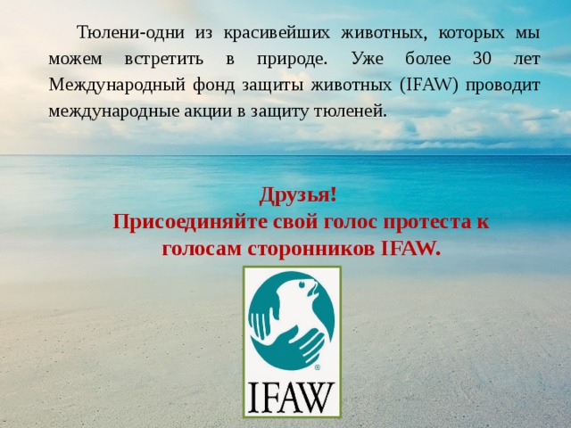 Тюлени-одни из красивейших животных, которых мы можем встретить в природе. Уже более 30 лет Международный фонд защиты животных (IFAW) проводит международные акции в защиту тюленей. Друзья! Присоединяйте свой голос протеста к голосам сторонников IFAW.
