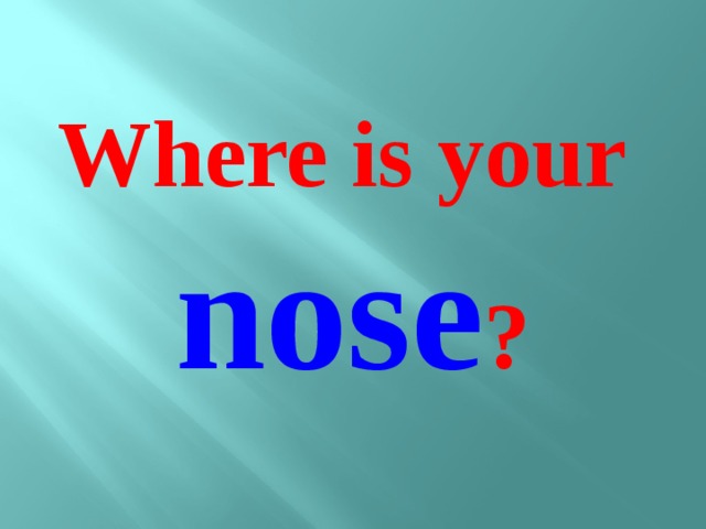 Where is your nose ?